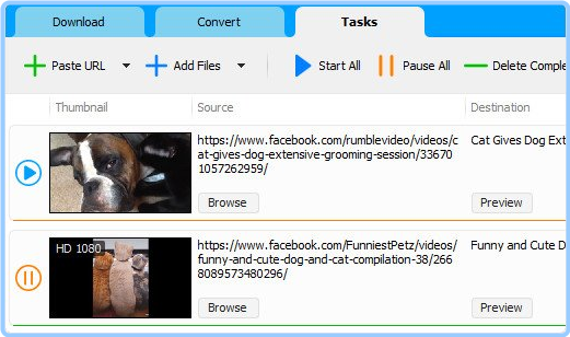 Social Media Downloader 7.2.5 Repack & Portable by Elchupacabra >